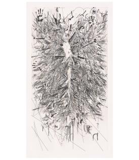 3. (indigene) Panel C