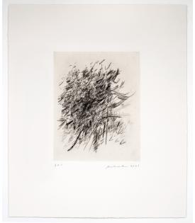 Julie Mehretu, Amulet in Crowd, 2021