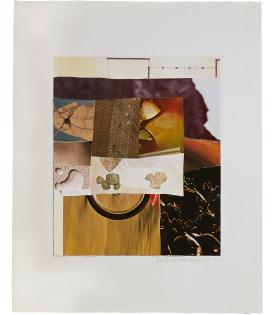 Robert Rauschenberg, Horsefeathers Thirteen - II, 1972