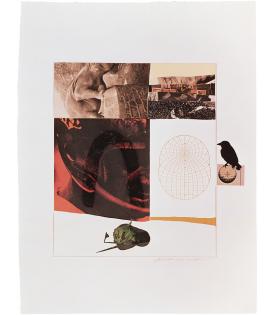 Robert Rauschenberg, Horsefeathers Thirteen IX, 1973