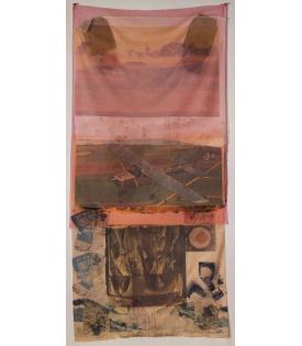 Robert Rauschenberg, Scrape, 1974