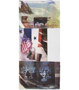 Robert Rauschenberg, Witness (Speculations), 1996