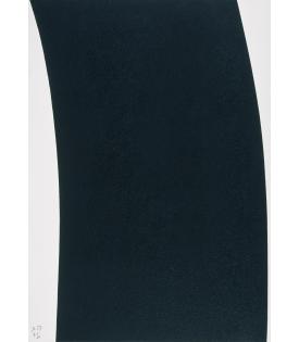 Richard Serra, Trajectory #4, 2004
