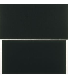 Richard Serra