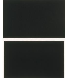 Richard Serra, Double Level II, 2009