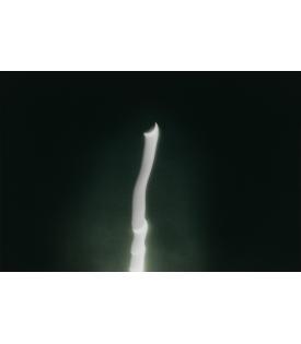 Tacita Dean, Eclipse Drawings #4, 2025