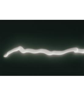 Tacita Dean, Eclipse Drawings #7, 2025