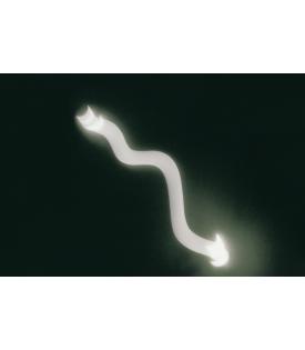 Tacita Dean, Eclipse Drawings #10, 2025