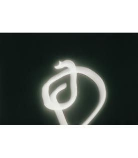 Tacita Dean, Eclipse Drawings #11, 2025