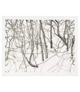 Toba Khedoori, Untitled (branches), 2020