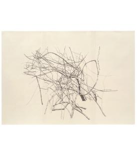 Toba Khedoori, Untitled (large branches), 2025